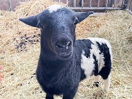 4 Star Holiday Home in Solvesborg-by Traum