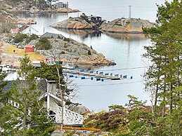 10 Person Holiday Home in Skjaerhalden