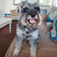 5 Bedroomed Fisherman's Cottage in Struis Bay