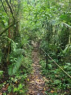 San Felipe Lodge Birding & Wellness
