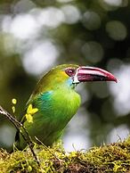 San Felipe Lodge Birding & Wellness