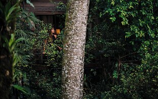Las Cabanas