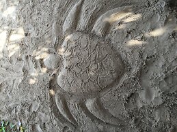 Bombay Bicycle Club Bentota