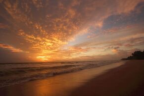 Bombay Bicycle Club Bentota