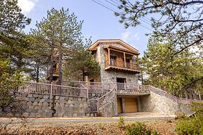 Troodos Mature Pine Chalet