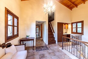 Troodos Mature Pine Chalet