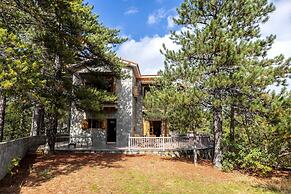 Troodos Mature Pine Chalet