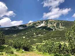 Apartment Belvedere 43