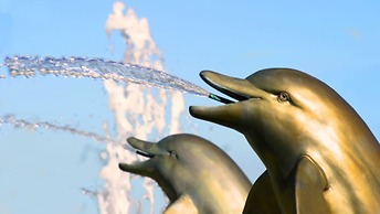 Rolando's Emerald Island Resort Townhouse