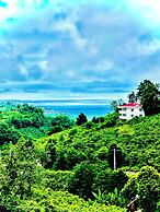 Five Stars Apart Bungalov