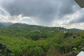 Five Stars Apart Bungalov