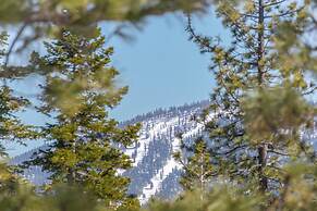 Truckee Container House by Sierra Getaways