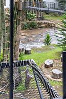 Inthada At Mae Kampong Chiang Mai