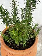 Travelers & Hikers Delight House On Way To Sougia