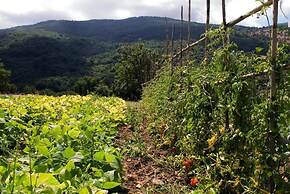 Masseria rocca di Gonato