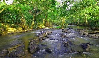 Atha Safari Resort & Riverside Camping