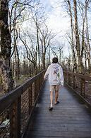 Timberline Glamping Cheaha