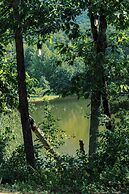 Timberline Glamping Cheaha