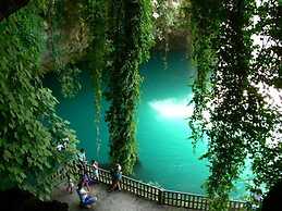 Perge Pine Green