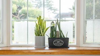 Taean Mongsanporangbadarang Shim Pension