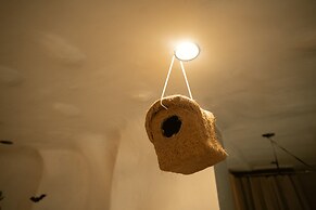 Orsom Stays Sassy - Sector 42