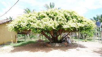 Attale Resort