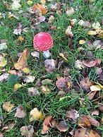 Ferienwohnung Tante Lise