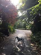 Ferienwohnung Tante Lise