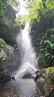 Janibichi adventures hostel