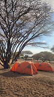 Janibichi adventures hostel