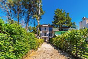 Brand New Apartment Villa 2