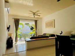 Gorgeous 8 People Basic Villa With Pool Playacar Phase 2