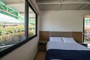 Finca Hotel 12 Palmas