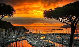 Cala del Porto Punta Ala