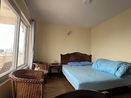 The Sparkling Turtle Backpackers Hostel