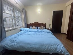 The Sparkling Turtle Backpackers Hostel