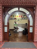 The Sparkling Turtle Backpackers Hostel