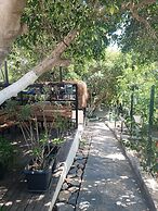 Benjamin Otel Gumusluk