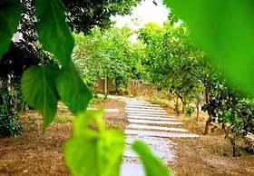 Benjamin Otel Gumusluk