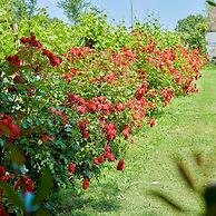 Palazzo Dei Laghi by Elite Villas