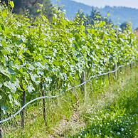 Palazzo Dei Laghi by Elite Villas