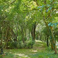 Palazzo Dei Laghi by Elite Villas