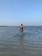 Villa Dar Dart Djerba 8 People