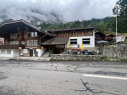Gadmen Alpenrose Switzerland
