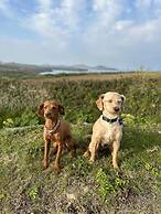 Swn y Môr - 1 Bedroom Cottage - Whitesands