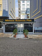 Mimoza Business Apart