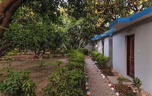 Shekhar Corbett By First Crown