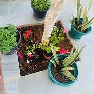 Central Garden Residence Sofia - Free Parking