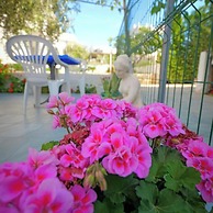 Central Garden Residence Sofia - Free Parking