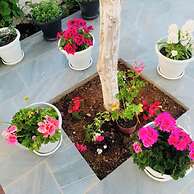 Central Garden Residence Sofia - Free Parking